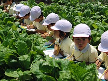 明星小学校