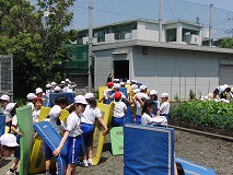 明星小学校