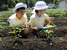 明星小学校