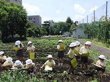 明星小学校