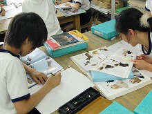 湘南学園小学校