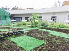 湘南学園小学校