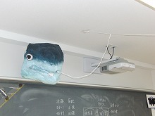 ÓwwZ