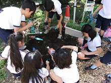 湘南学園小学校