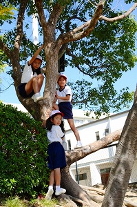 関西 私立小学校